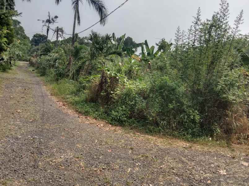 dijual tanah bomang