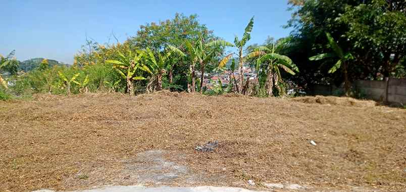 dijual tanah cigadung