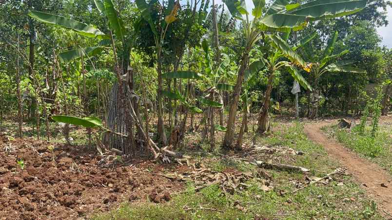 dijual tanah cipeundeuy