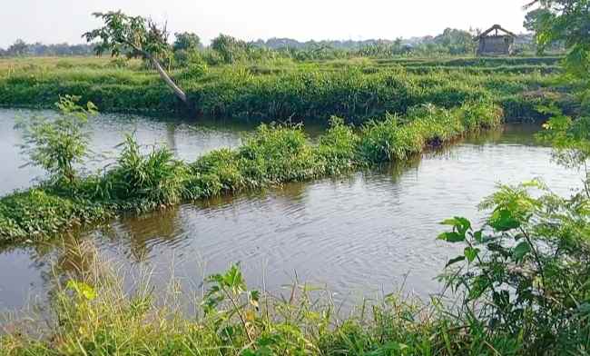 dijual tanah dekat wisata air janti klaten