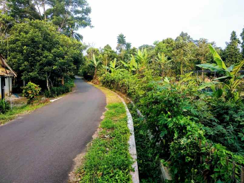 dijual tanah desa bangkonol
