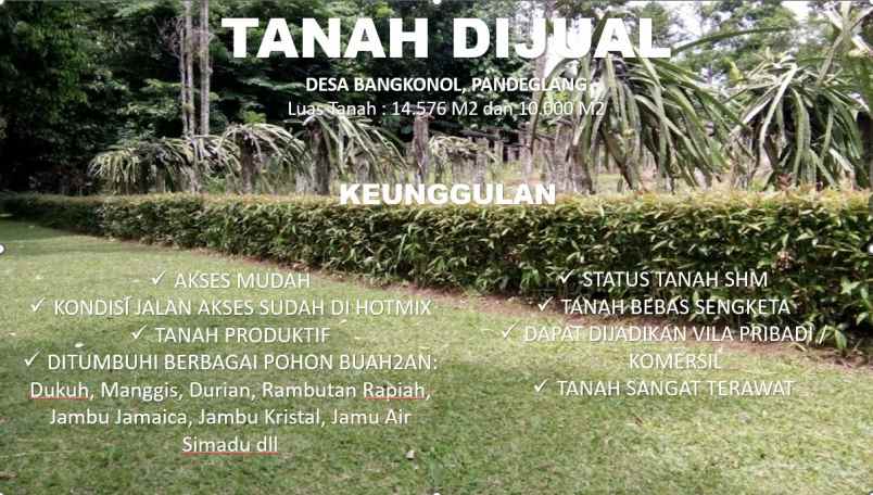 dijual tanah desa bangkonol
