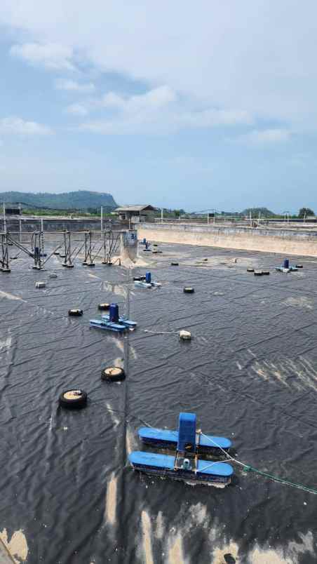 dijual tanah desa suak