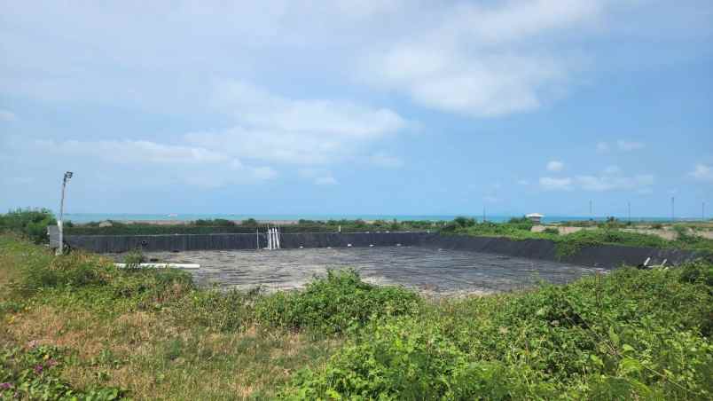 dijual tanah desa suak