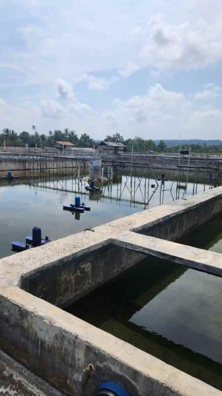 dijual tanah desa suak