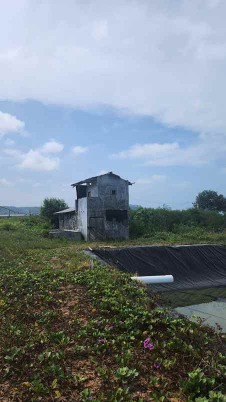 dijual tanah desa suak