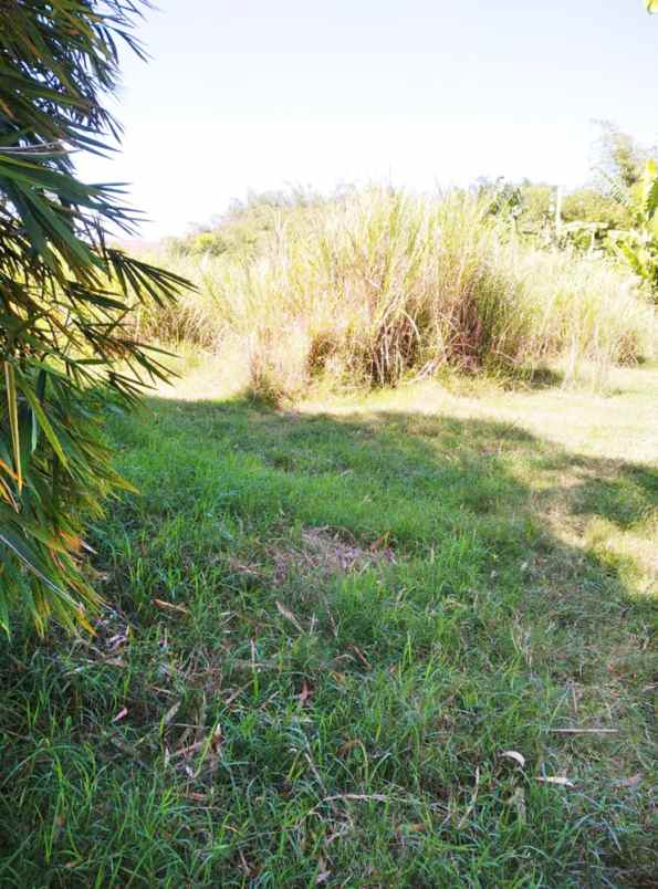 dijual tanah desa tanjung harja kec