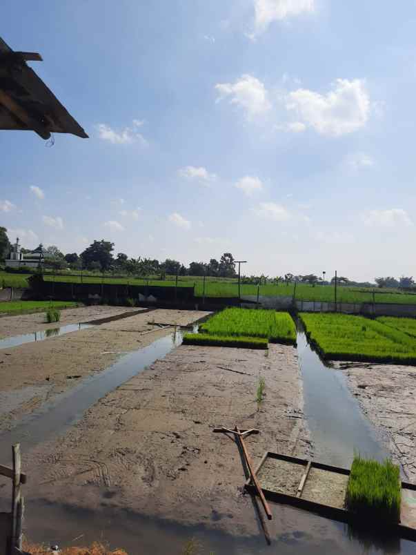 dijual tanah desa turus kec polanharjo