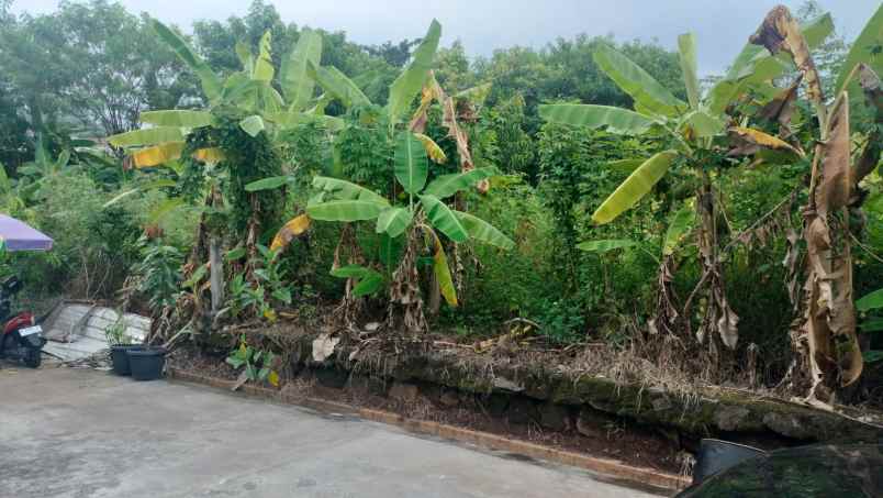 dijual tanah di jrobang ngesrep banyumanik semarang