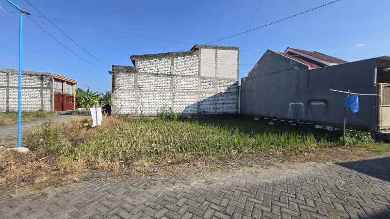 dijual tanah dijual tanah di dusun