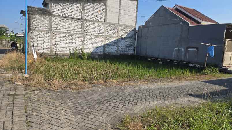 dijual tanah dijual tanah di dusun