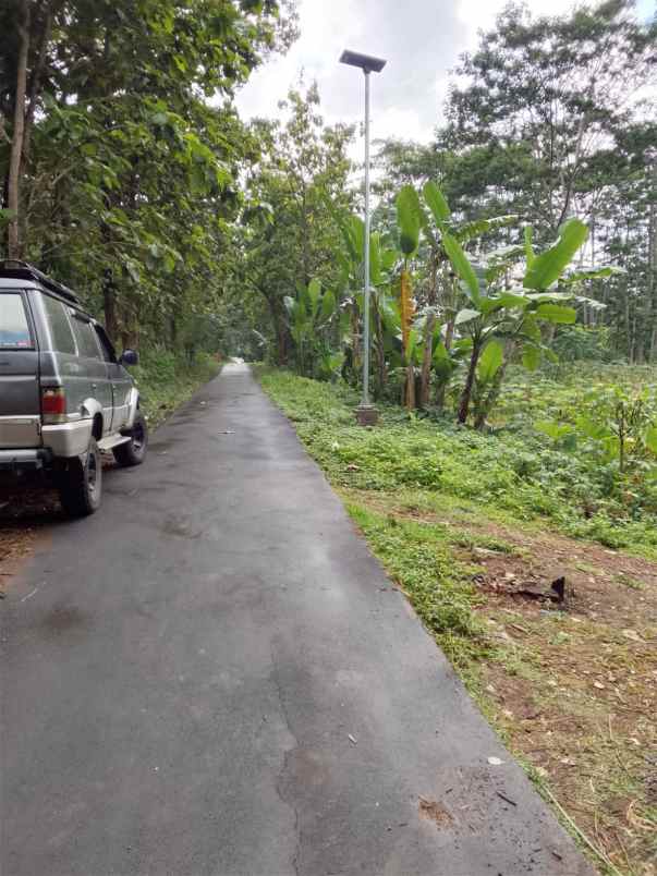 dijual tanah dijual tanah di jumantono