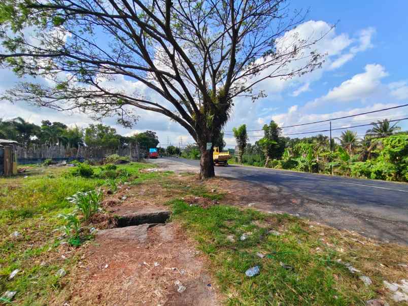 dijual tanah ds antap kec selemadeg kab