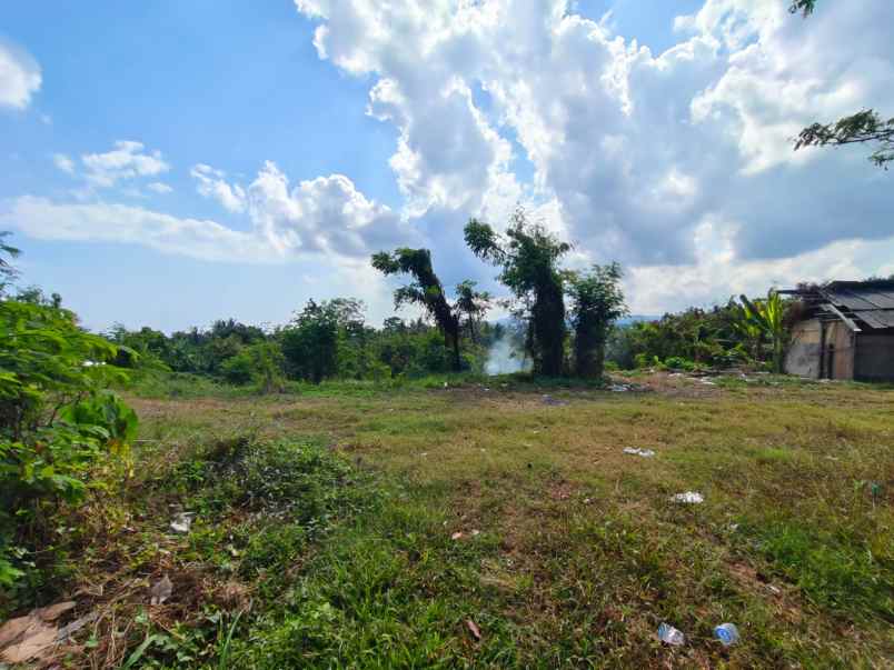 dijual tanah ds antap kec selemadeg kab
