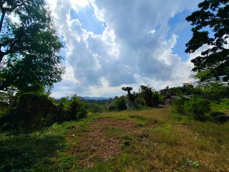 dijual tanah ds antap kec selemadeg kab