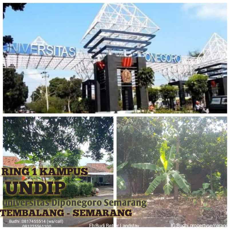 dijual tanah gondang tembalang semarang