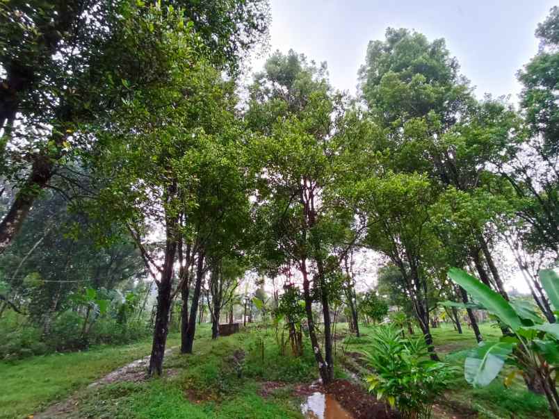 dijual tanah jalan linggasana