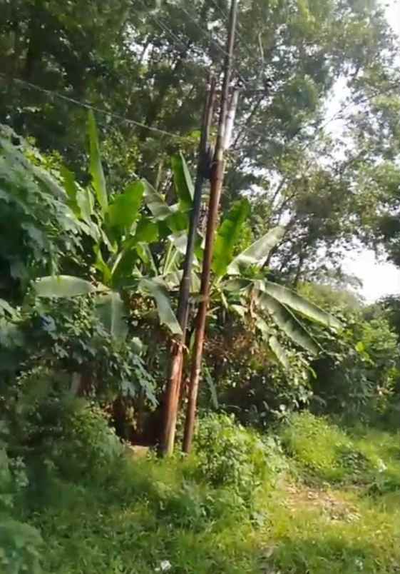 dijual tanah jalan marsinu