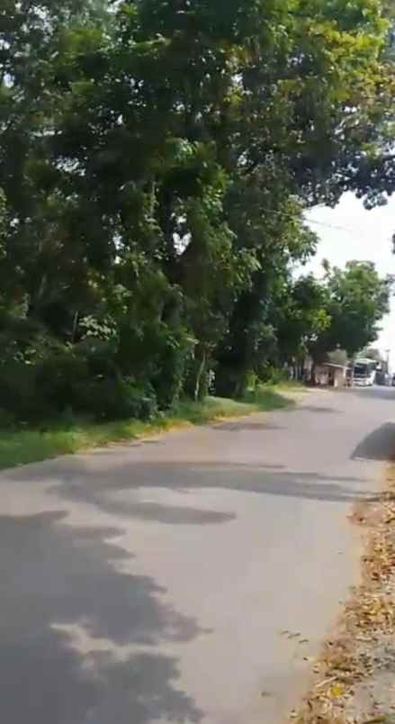 dijual tanah jalan marsinu