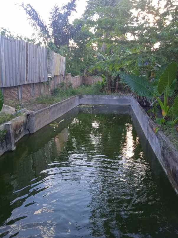 dijual tanah jalan pandawa