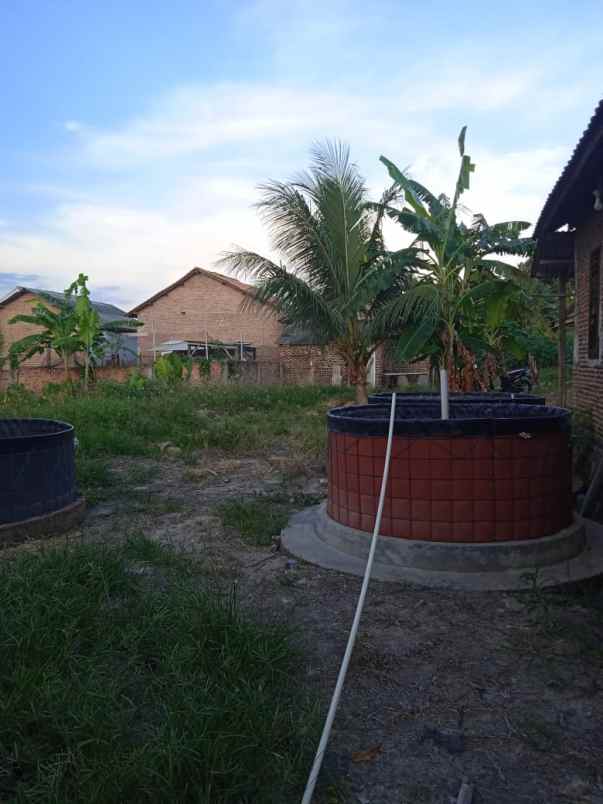 dijual tanah jalan pandawa