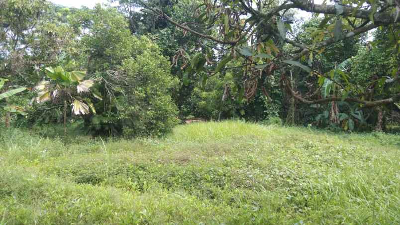 dijual tanah jalan raya purwadadi