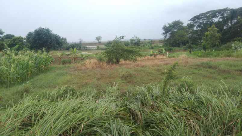 dijual tanah jalan raya tirtamulya