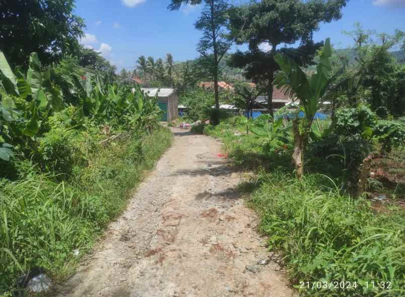 dijual tanah ji tegal bunder no 174