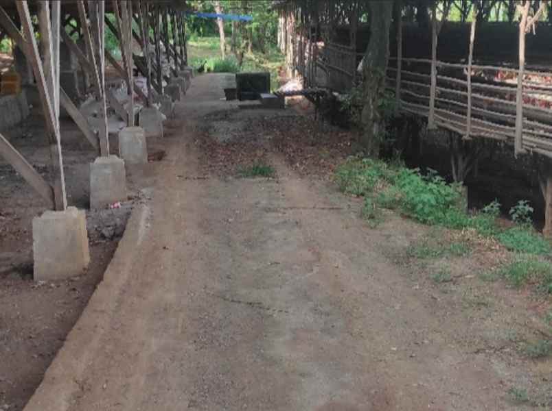 dijual tanah ji tegal bunder no 174