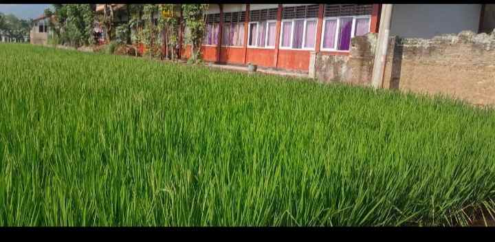 dijual tanah jl ahmad munawar desa