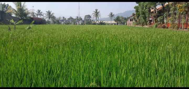 dijual tanah jl ahmad munawar desa