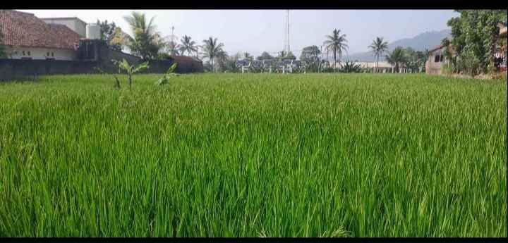 dijual tanah jl ahmad munawar desa