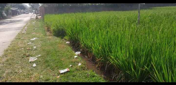 dijual tanah jl ahmad munawar desa