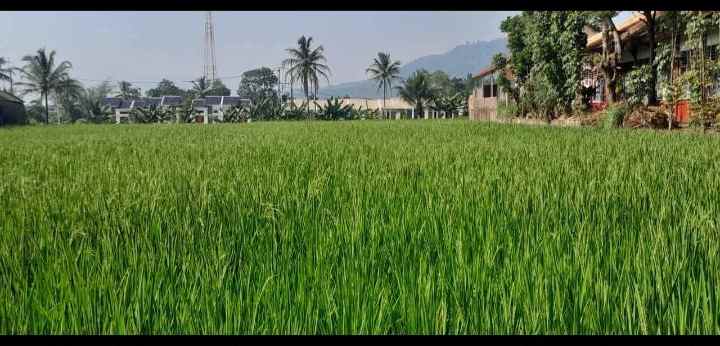dijual tanah jl ahmad munawar desa