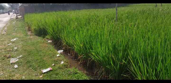 dijual tanah jl ahmad munawar desa