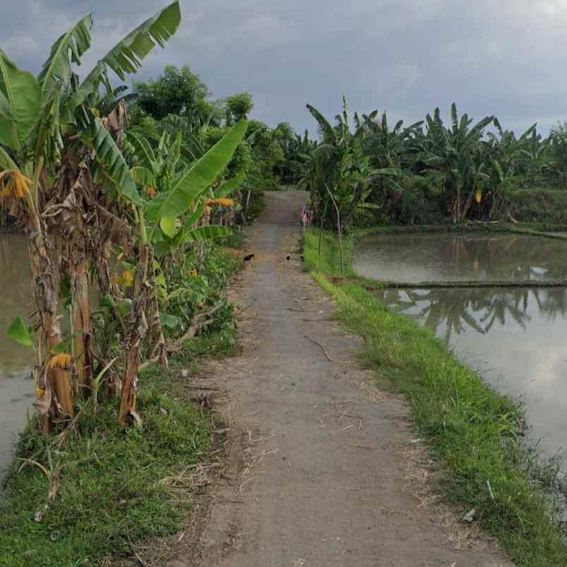 dijual tanah jl kalisada