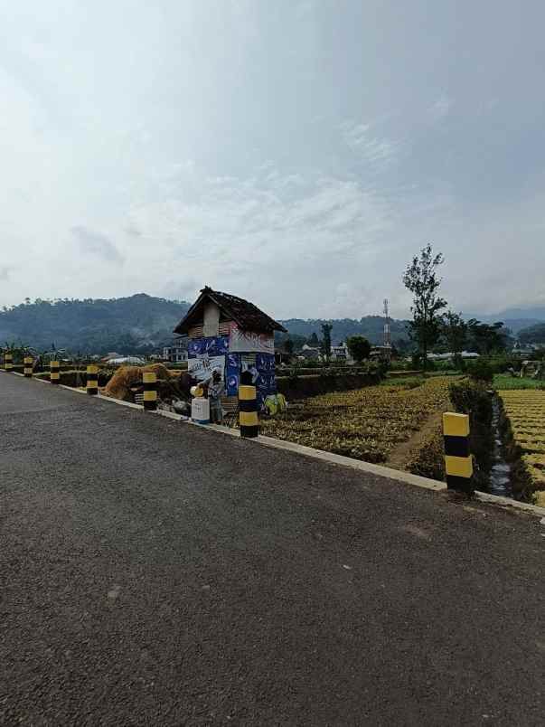 dijual tanah jl metro