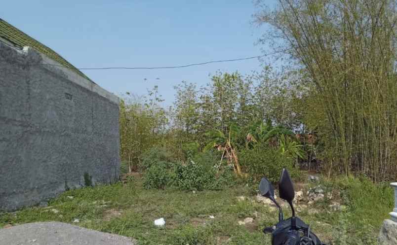 dijual tanah jl raya blora purwodadi