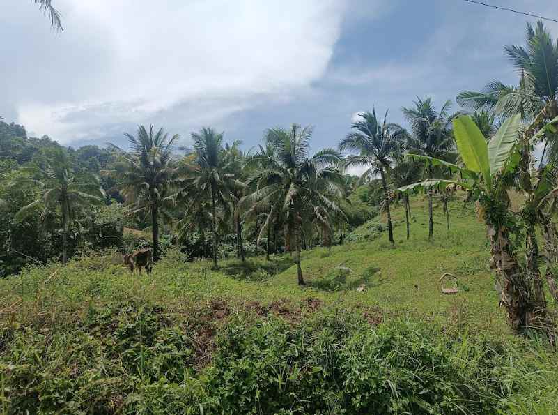 dijual tanah jl raya pindol desa