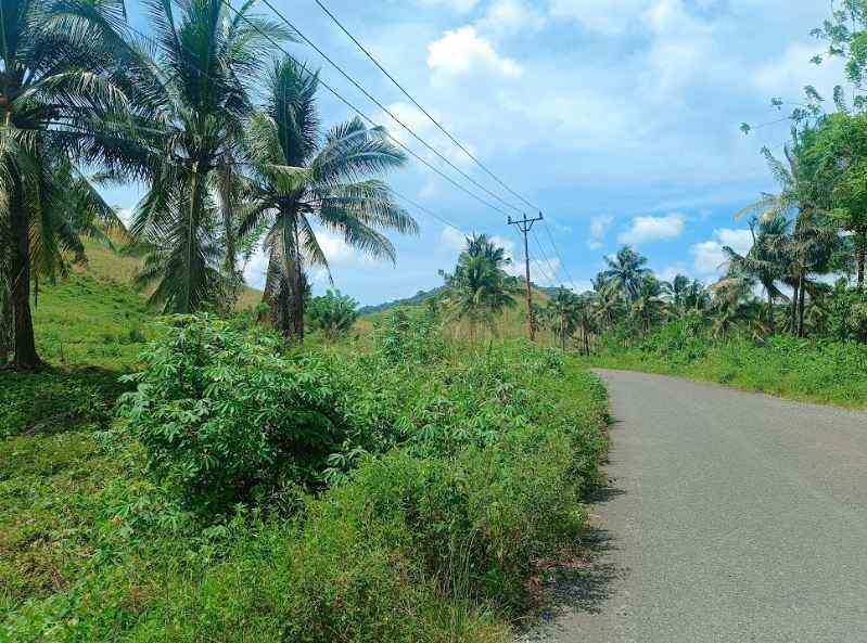 dijual tanah jl raya pindol desa