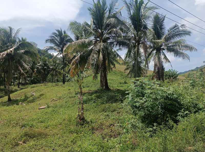 dijual tanah jl raya pindol desa