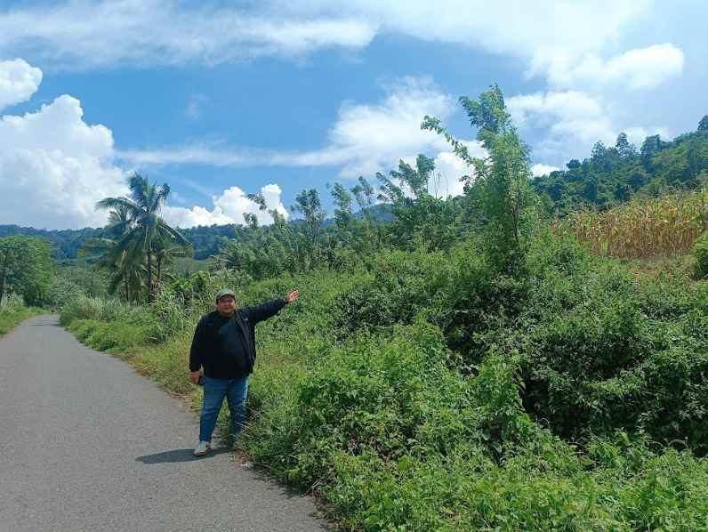 dijual tanah jl raya pindol desa