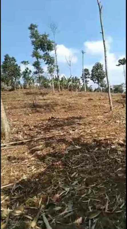 dijual tanah jl raya rancakalong