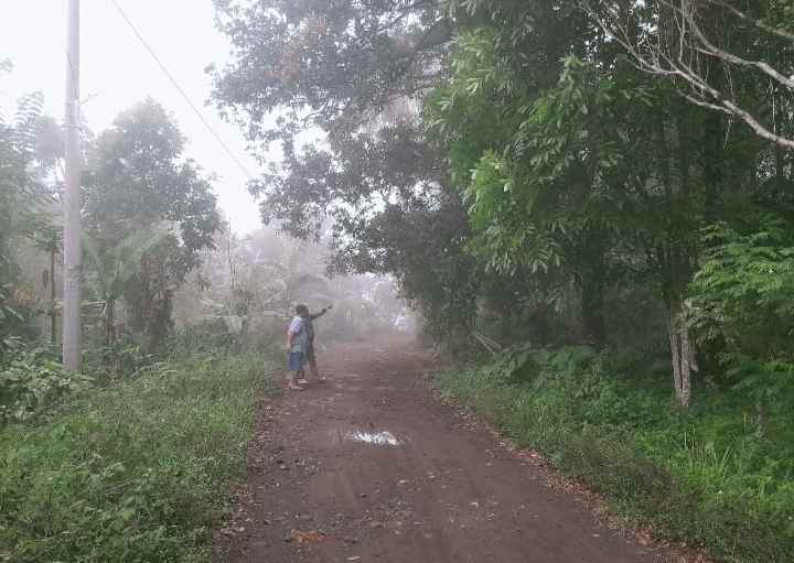 dijual tanah kebun pinggir jalan desa