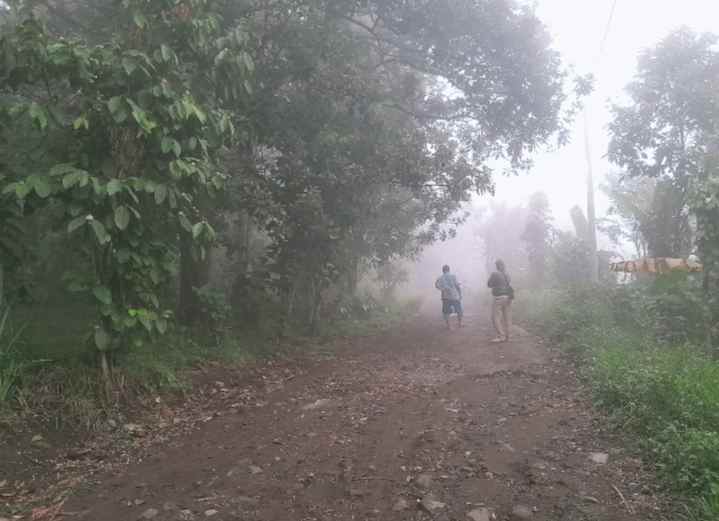 dijual tanah kebun pinggir jalan desa
