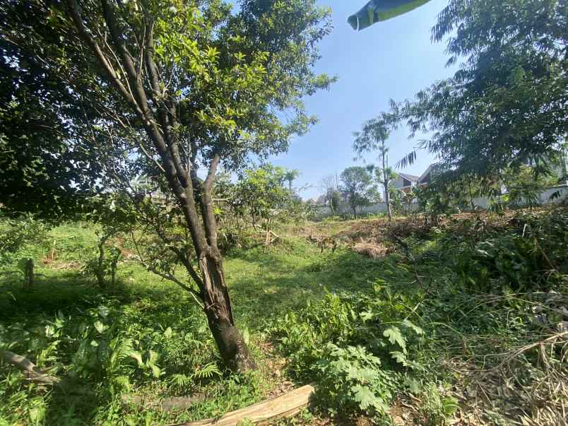 dijual tanah kelurahan kencana tanah