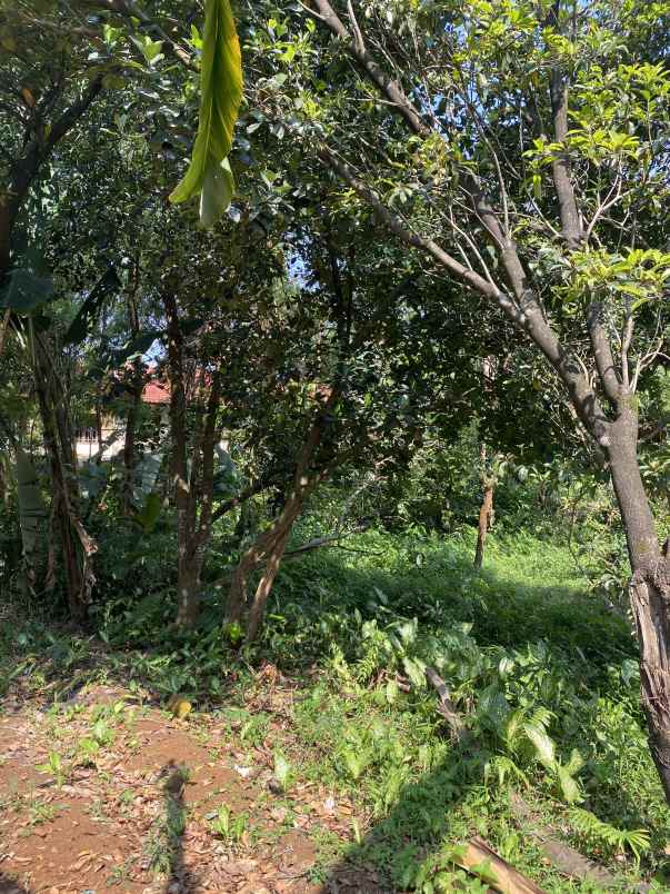 dijual tanah kelurahan kencana tanah