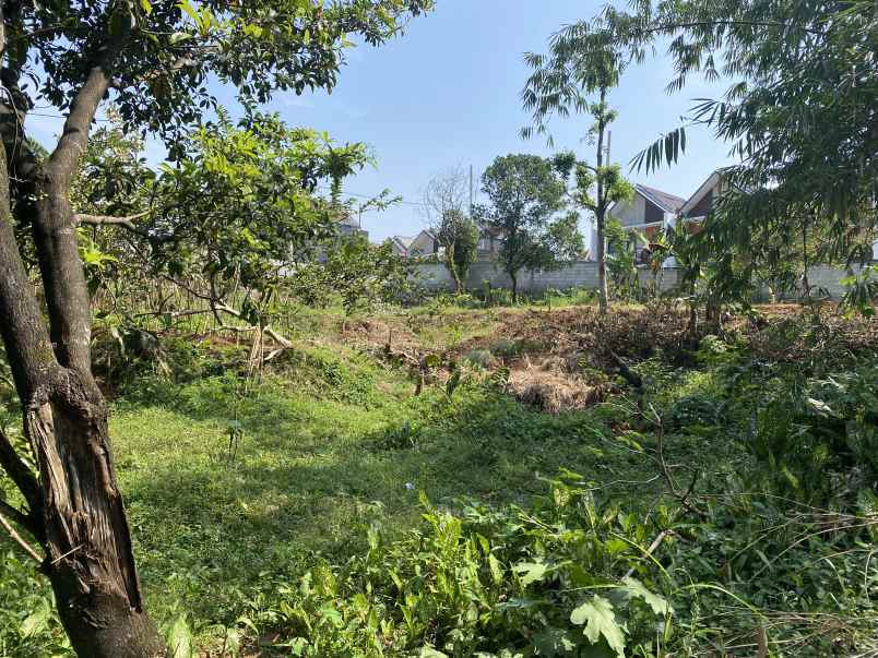 dijual tanah kelurahan kencana tanah