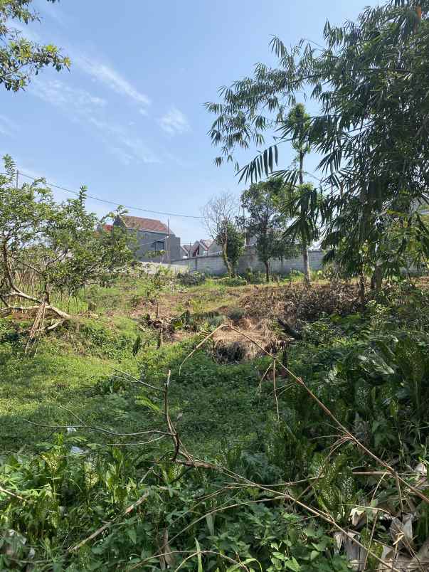 dijual tanah kelurahan kencana tanah