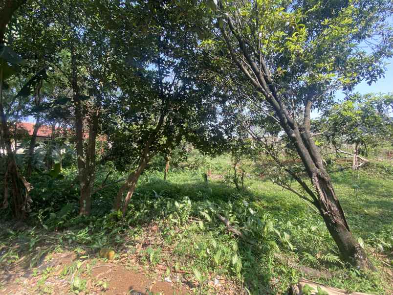 dijual tanah kelurahan kencana tanah